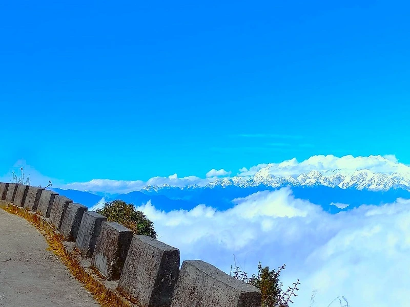 Offbeat Darjeeling Tea Gardens and Views